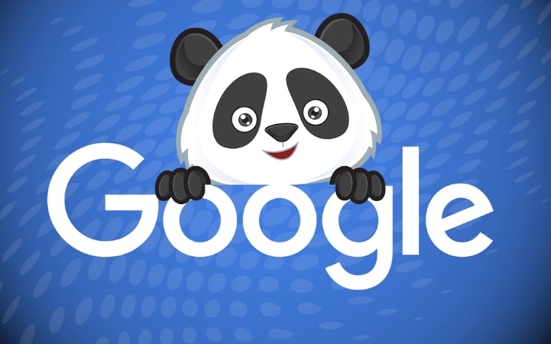 thuật toán SEO Google Panda