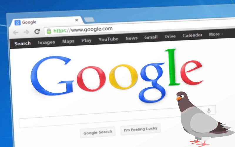 thuật toán seo Google Pigeon