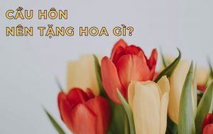 Cầu hôn nên tặng hoa gì