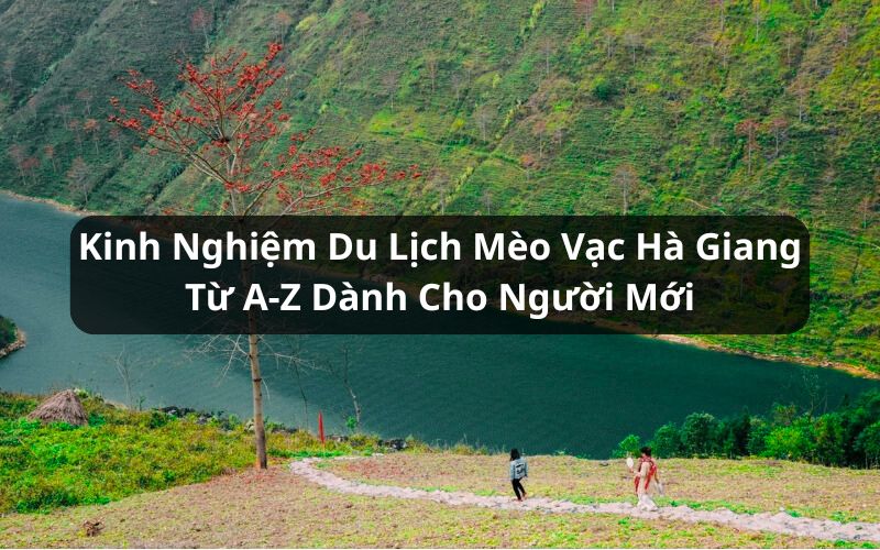 kinh nghiệm du lịch mèo vạc hà giang
