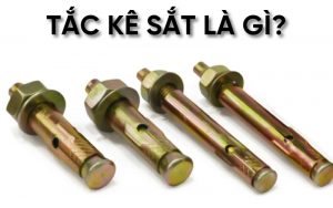 tắc kê sắt là gì