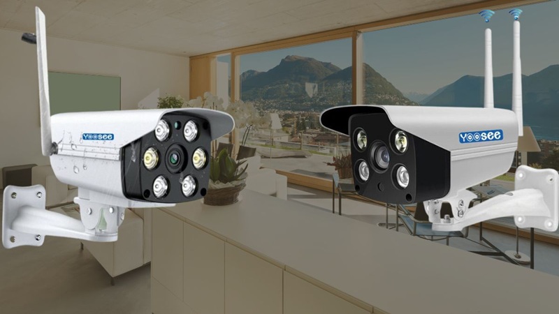 Mẫu mã và chủng loại