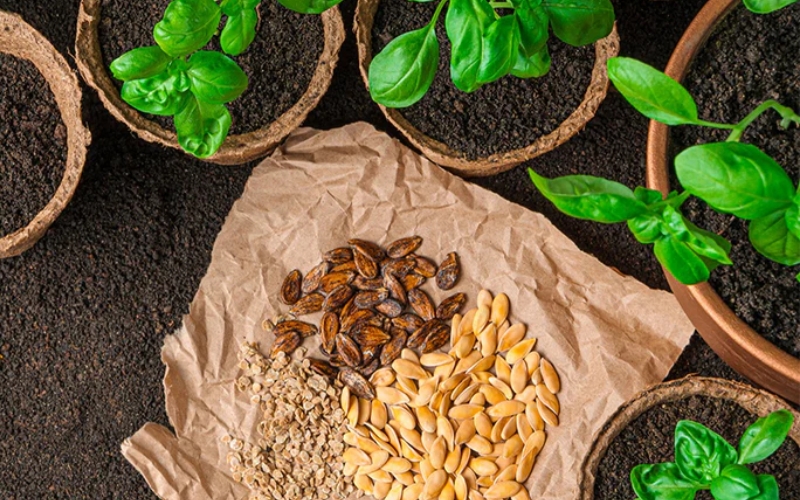 Công ty TNHH Lụa Mặt Trời