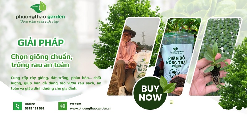 Công ty TNHH Phương Thảo Garden