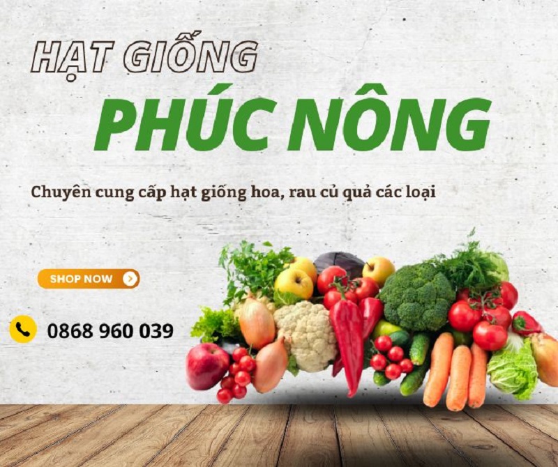 Kho sỉ hạt giống rau hoa củ quả Phúc An Nông