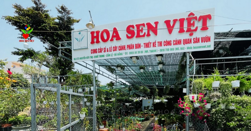 Cửa hàng hạt giống giá sỉ Hoa Sen Việt