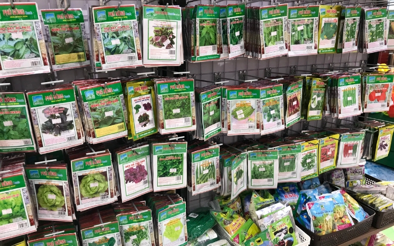 Shop hạt giống rau Hoa Mặt Trời