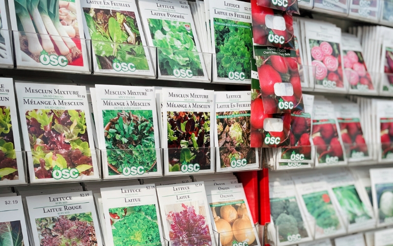 Siêu thị Hạt Giống Cầu Rồng Đà Nẵng