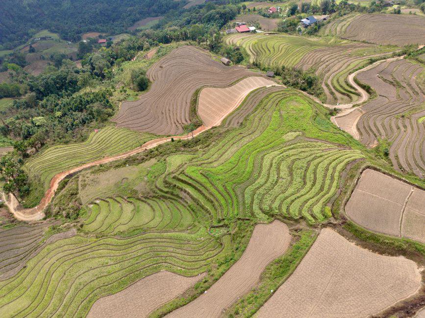 Vì Sao Sinh Viên Trung Cấp Nên Thử Ha Giang Loop 3 Days Vì Sao Sinh Viên Trung Cấp Nên Thử Ha Giang Loop 3 Days